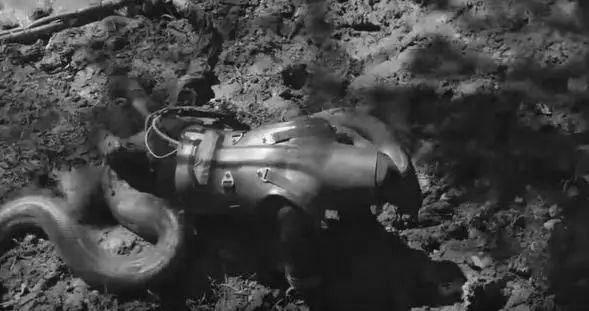 大蟒蛇攻击人视频,蟒蛇为什么不像小蛇一样攻击人