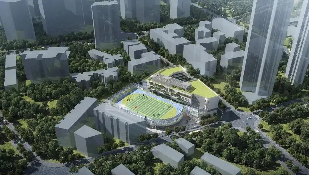 名校名企联手打造区域教育新高地,打造比肩东西海的教育强区