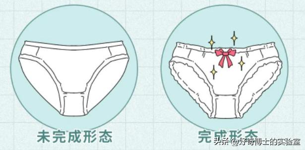 为什么女生*裤内**前面，总有个蝴蝶结？