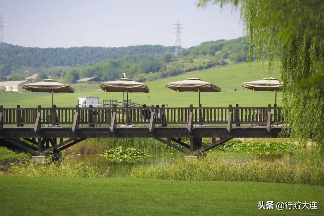 大连国庆遛娃好去处,大连春游遛娃最适合去的地方