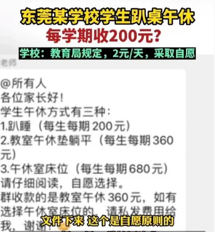 九年义务教育学费花钱不,九年义务教育为什么收费这么贵