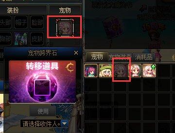 dnf夏日宠物装备和纹章怎么选,dnf稀有装扮和宠物怎样获得