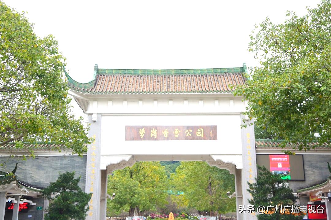 广州五一文旅活动,五一去广州哪里旅游比较好