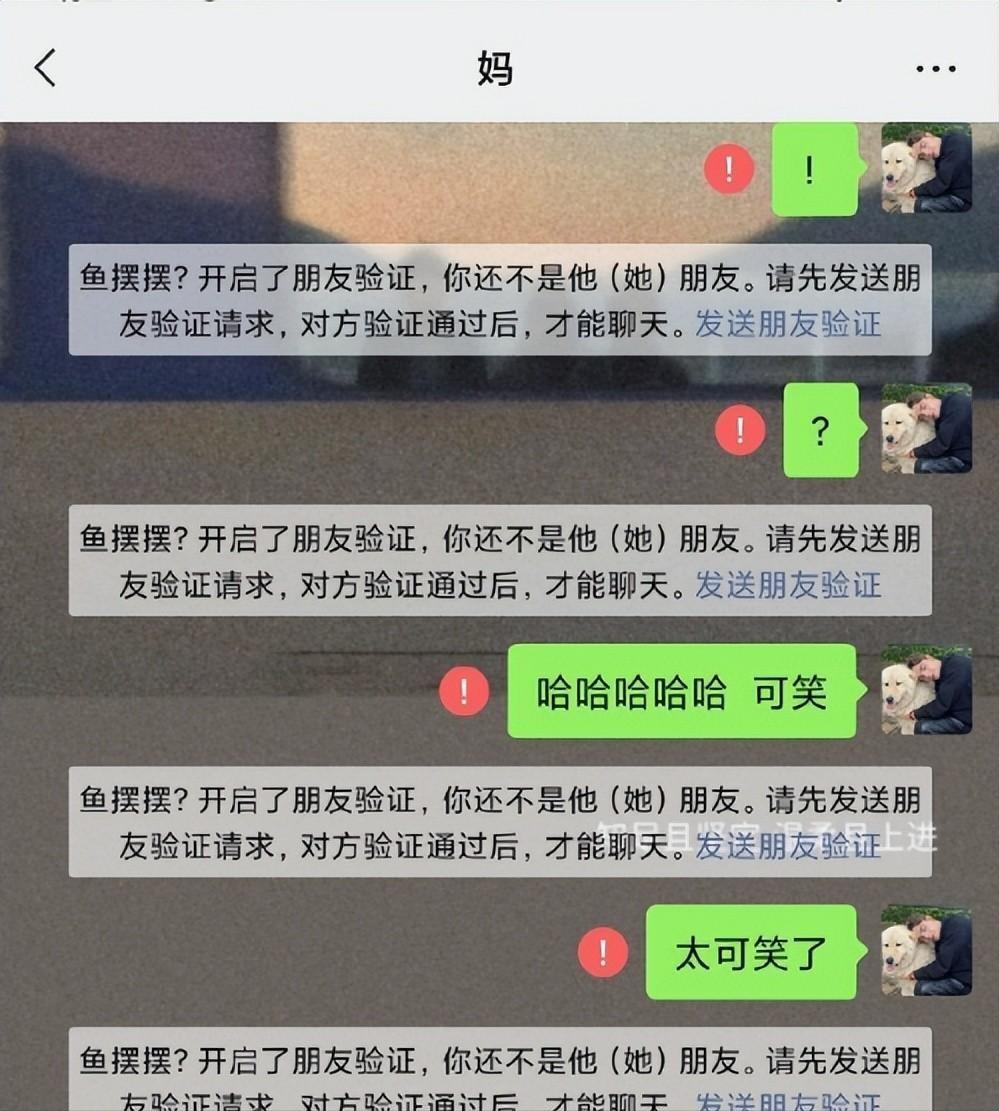陪酒女也能当硕士？一个“黄谣”验证了人性究竟有多险恶