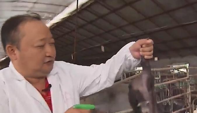 农村老汉嗜酒,农村大哥嗜酒如命