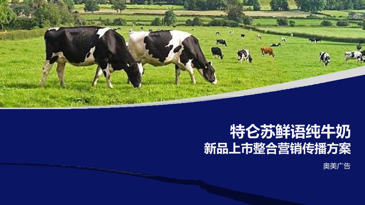 蒙牛牛奶营销方案100例,蒙牛纯牛奶的营销方案