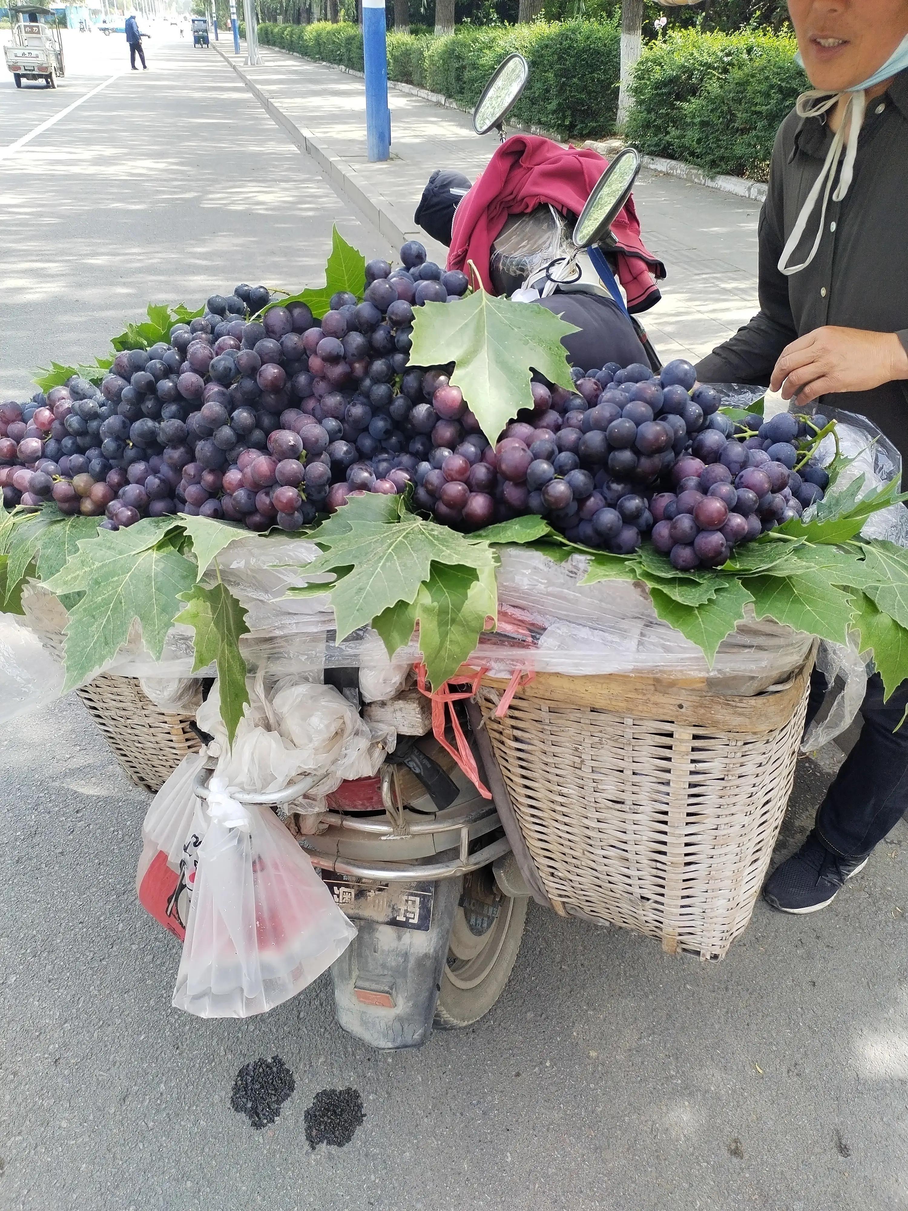 靠一辆电动自行车能做什么生意,现在做电动自行车生意还能赚钱吗
