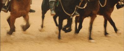 骆驼祥子电影观后感,观新疆纪录片心得体会300字