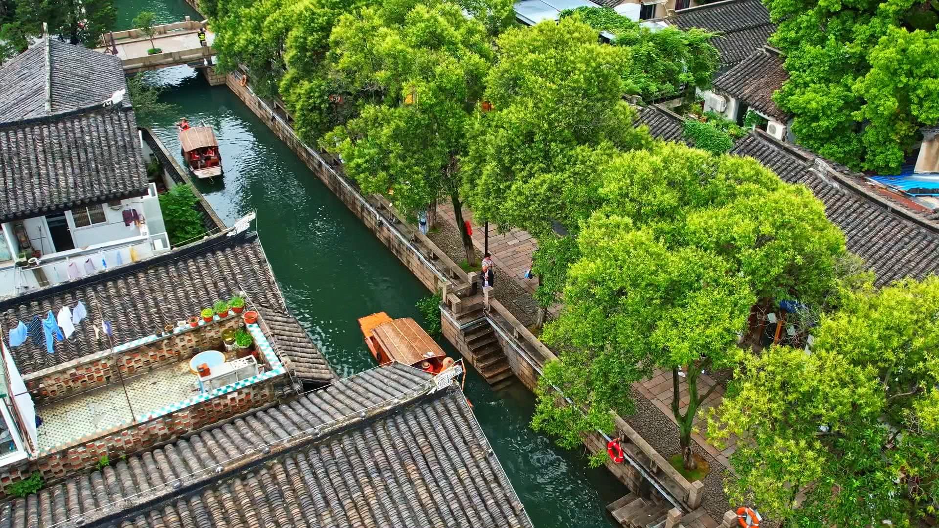 江苏时政公众号,时政微视频江苏