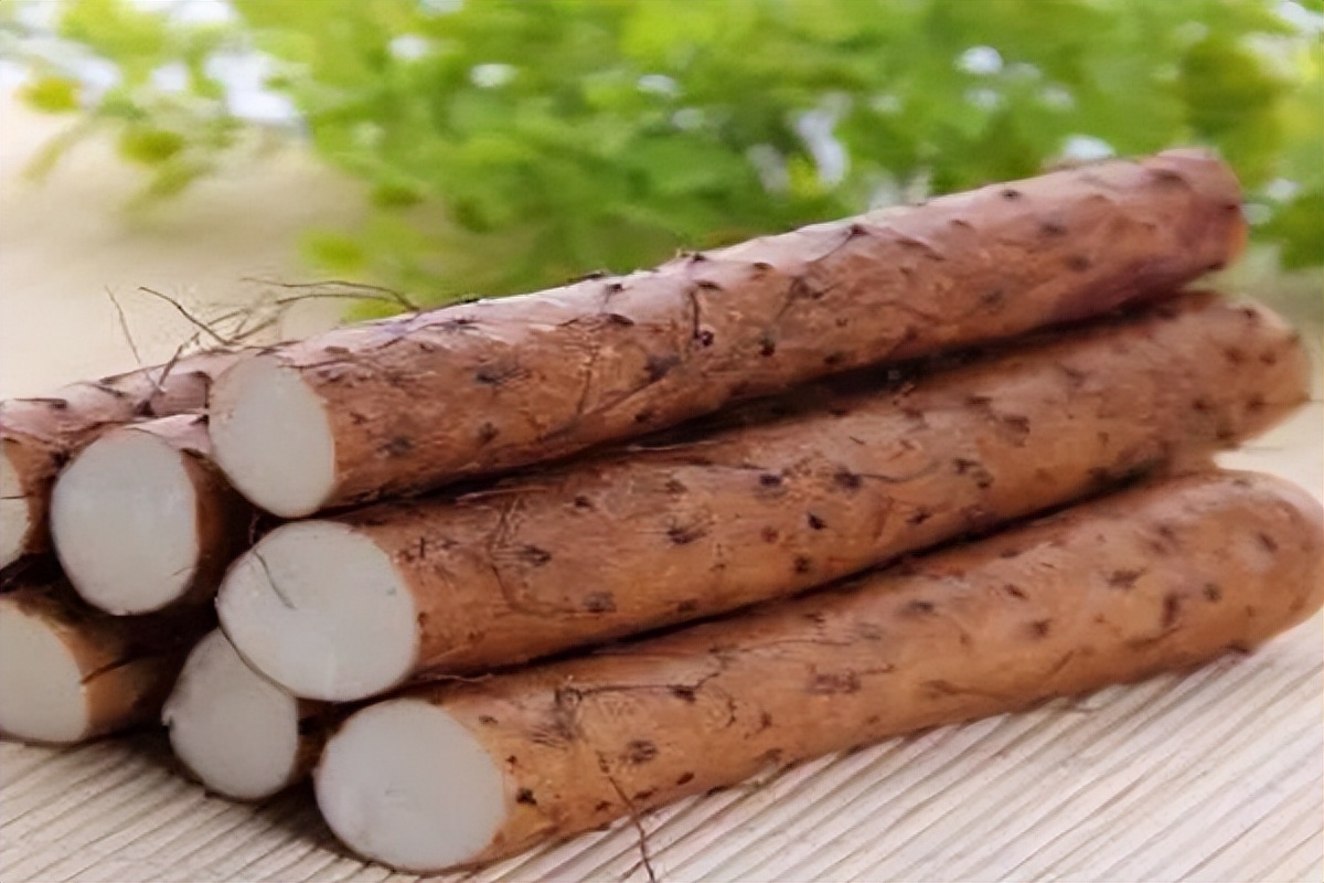 浙江人常吃的蔬菜有哪些,幼儿园常吃的蔬菜有哪些