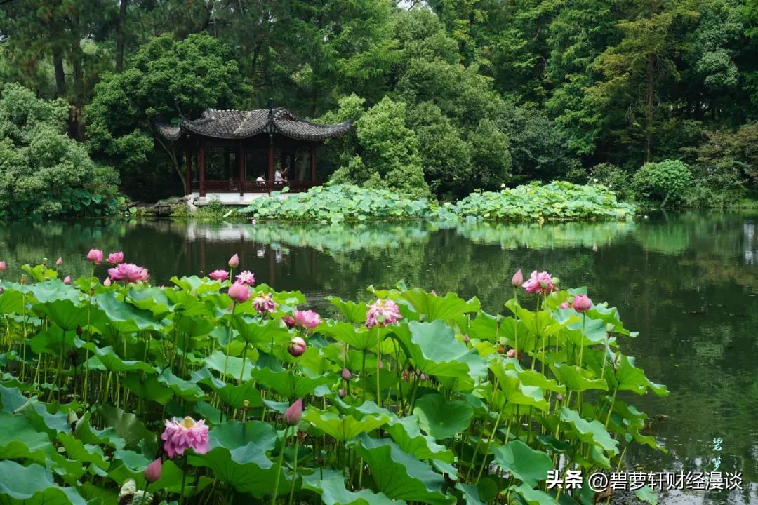 长沙第一波赏荷地图,杭州夏日赏荷地图