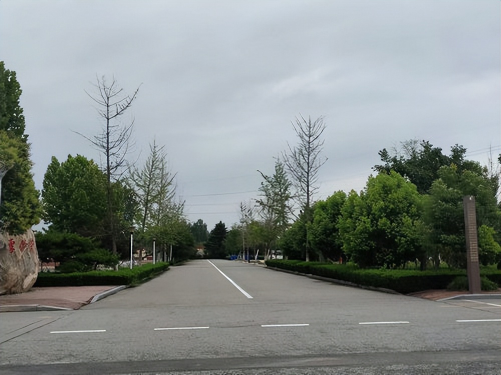 临沂实验学校都有哪些,临沂益民实验中学