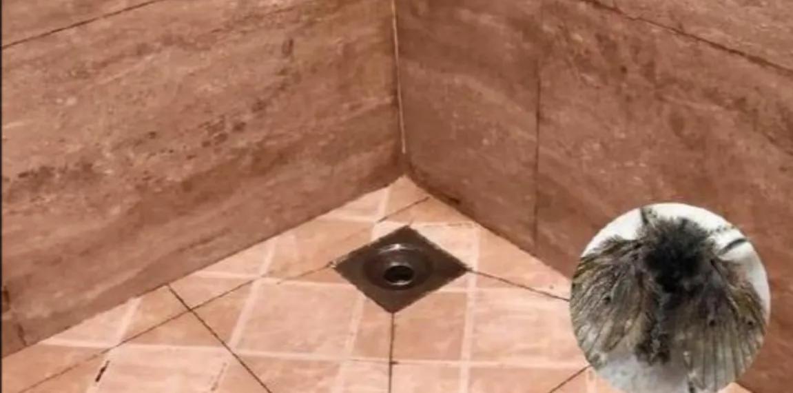 卫生间下水道反臭气解决小妙招,卫生间臭气熏天太难闻的几种原因