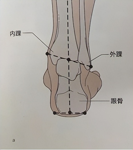 哪些品牌的童鞋雌激素高,雌激素超标童鞋