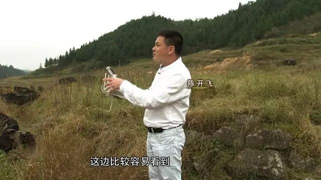 硕士回村做养殖一年净赚10万元,养山羊一年赚40万