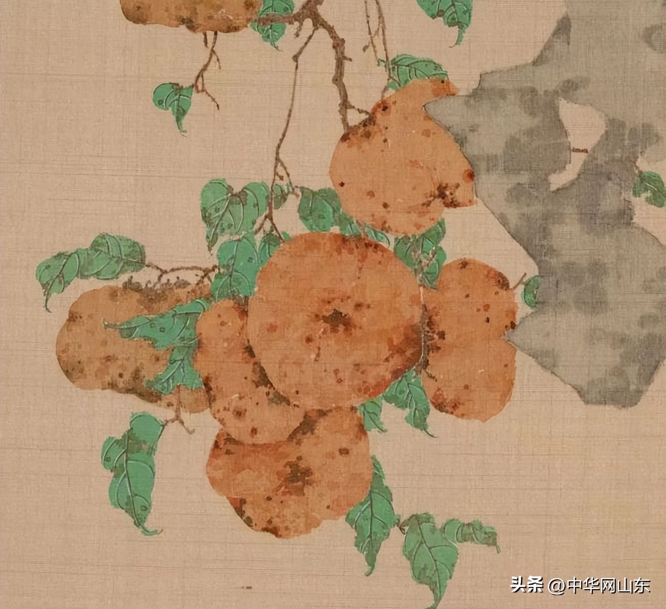 郝孝飞花鸟,郝孝飞花鸟国画