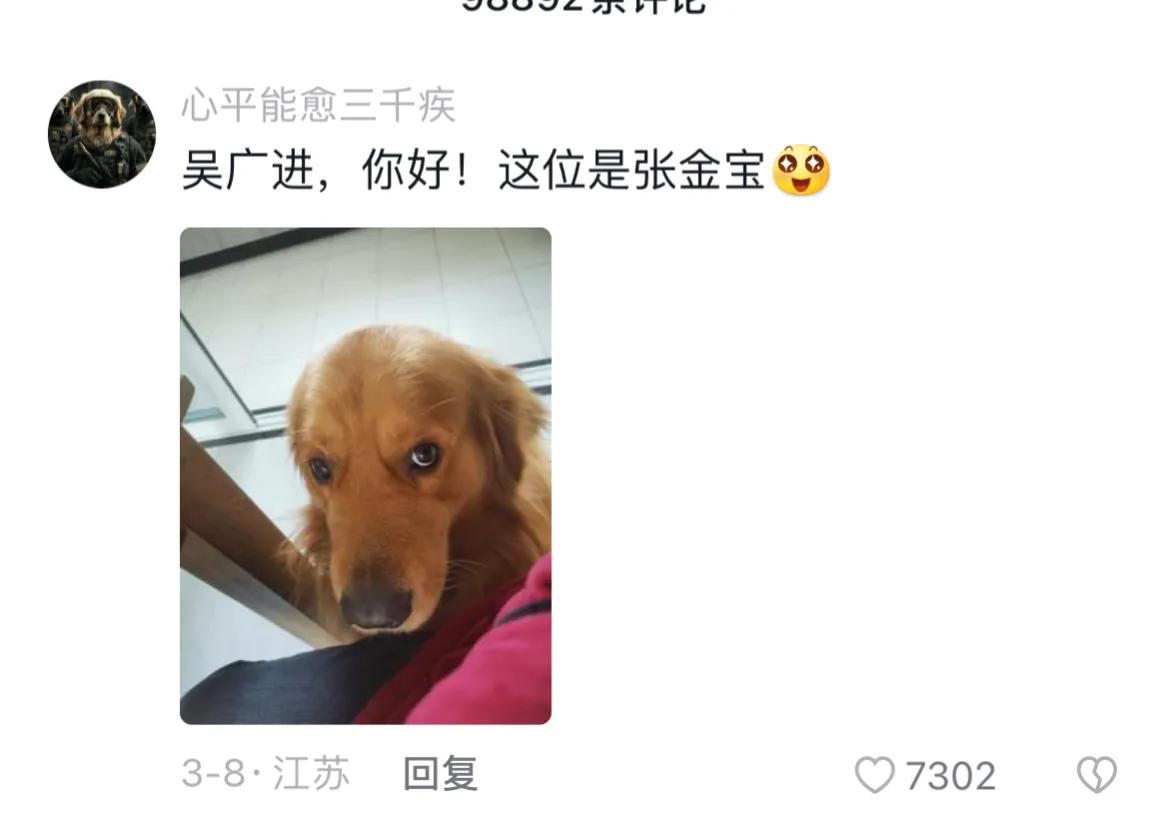 宠物取什么名字好听,取一个宠物名字