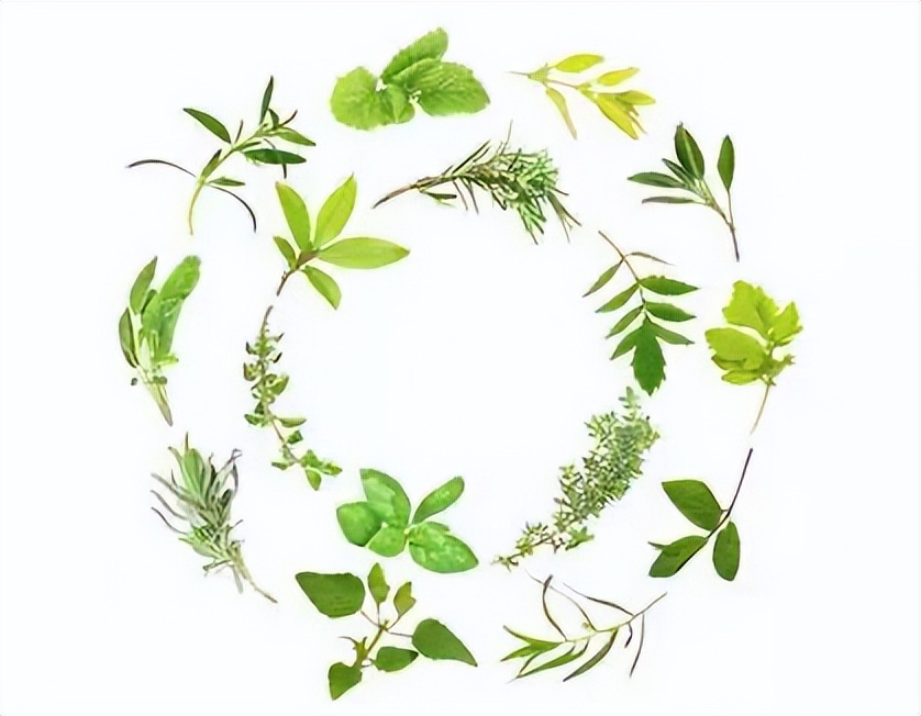 这些停产好物我们找到替代品了！,中国人不骗中国人