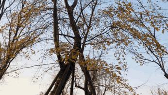 长沙风景美丽的篮球场,长沙王陵公园生态足球场