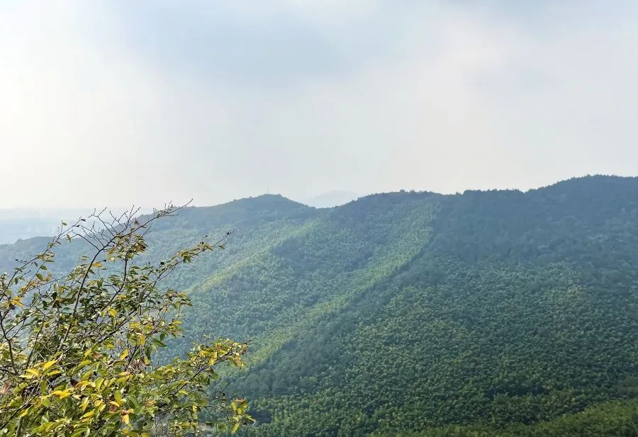 苏州哪里赏枫叶最好看,去苏州看枫叶的景点