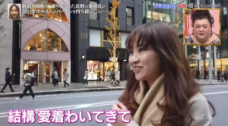 背铂金包,日本女生背帆布包