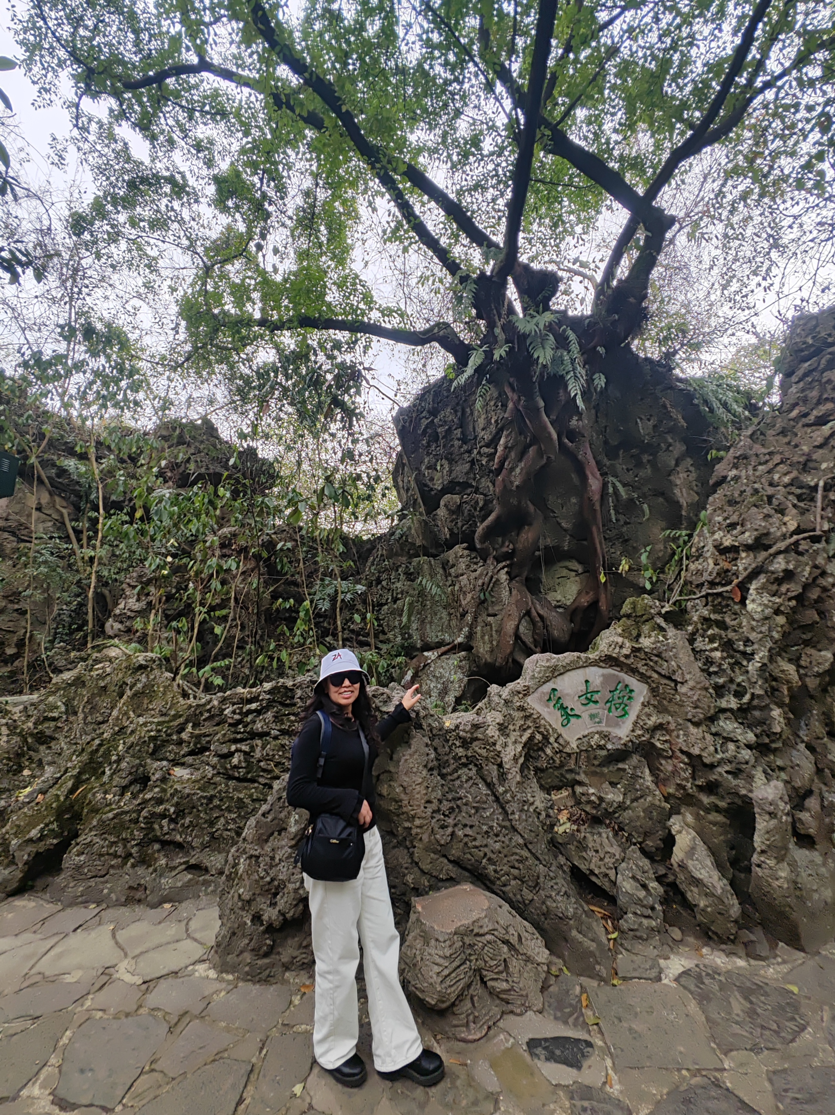 游贵州黄果树视频,贵州黄果树瀑布旅游攻略天星桥