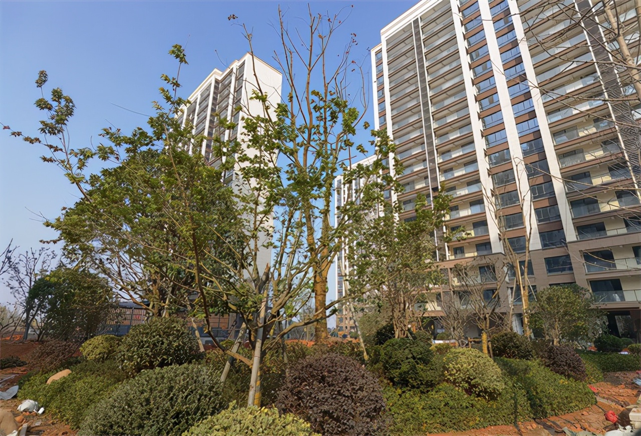 东港最值得购买的楼盘,东港未来最好的楼盘