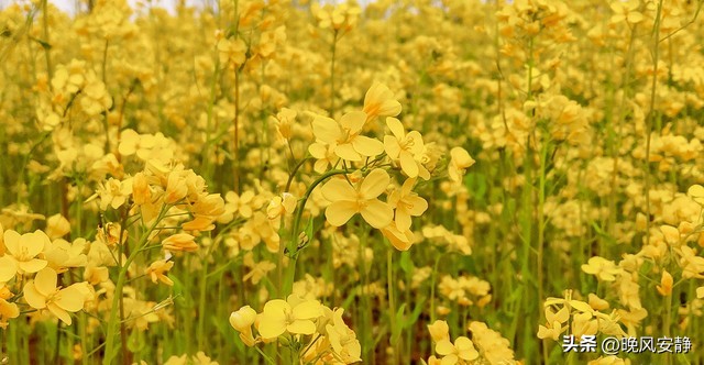 我，穷二代出身，坚持做一兼职，一年攒了26万，心态平和