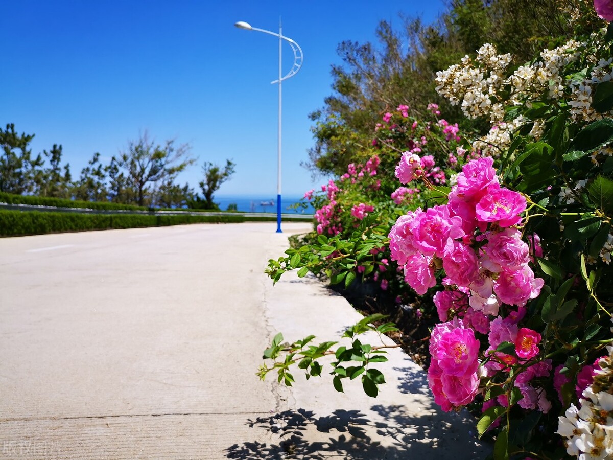 告别2022，未来可期，时光静好，浅笑安然，向着温暖那方走去