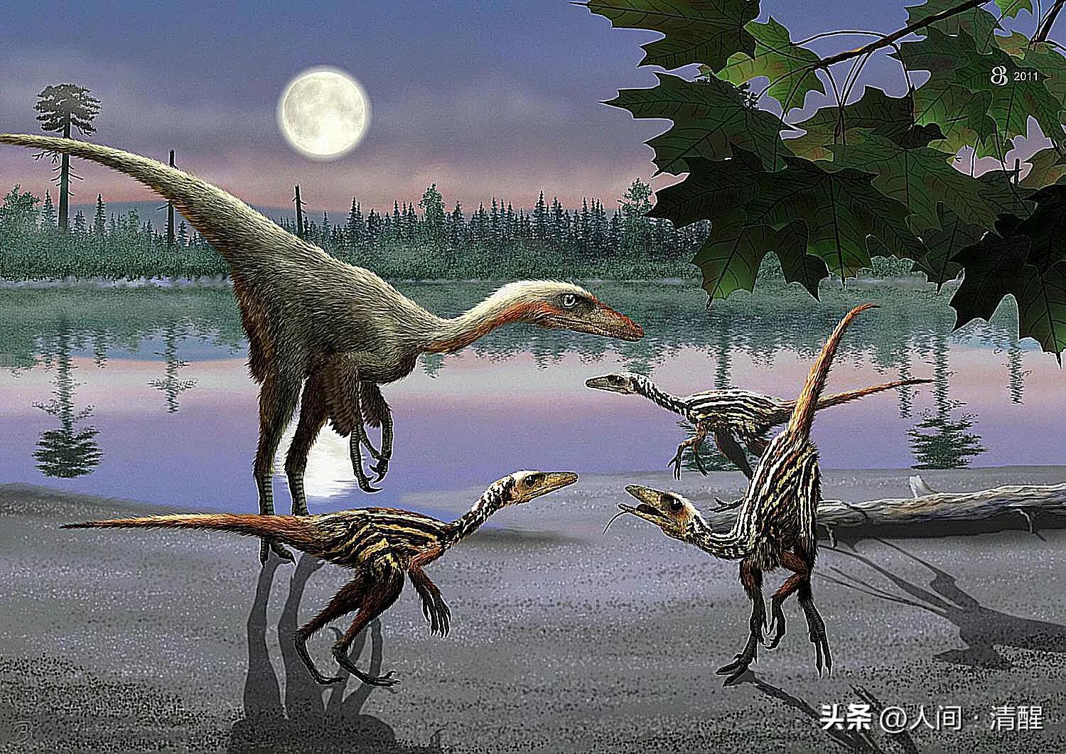 首次挖掘带羽毛的恐龙图片,全部带羽恐龙介绍纪录片