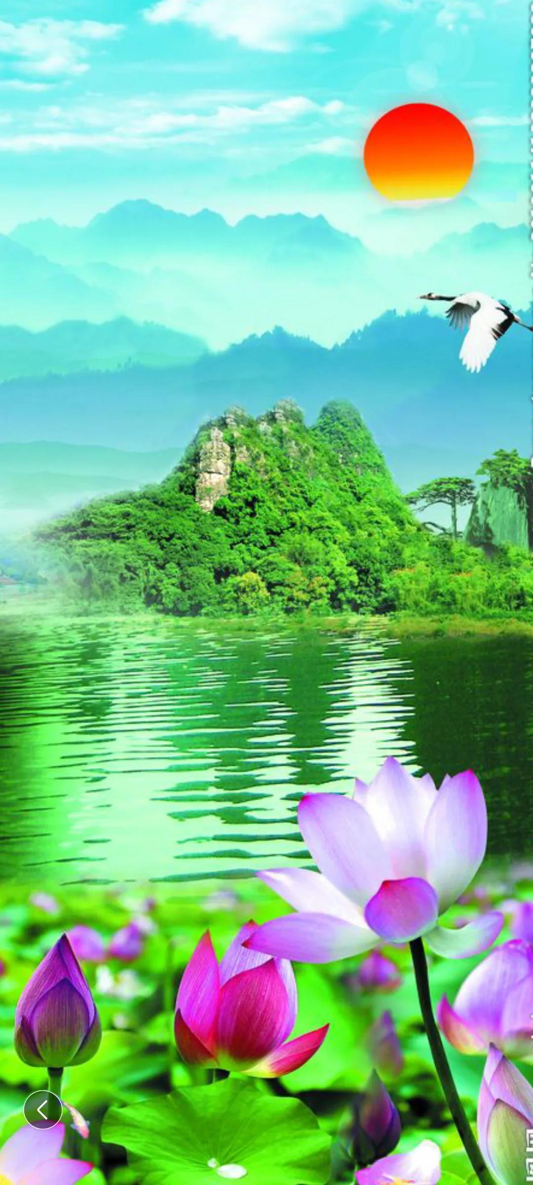 男怕入错行女怕嫁错郎入行须提防,广场舞男怕入错行女怕嫁错郎32步