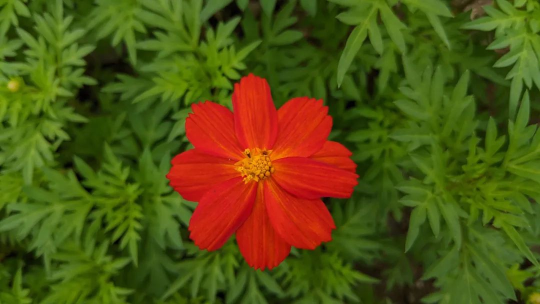 情人之间怎么做他才会一直爱你,不管是情人还是夫妻彼此都要珍惜