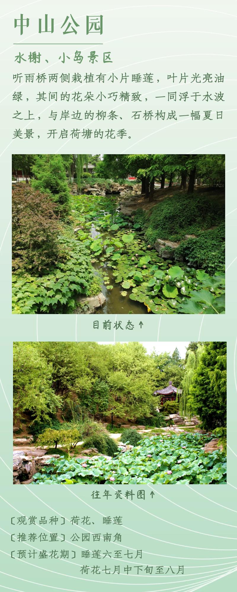 北京赏荷花最佳地点,北京赏荷花的公园