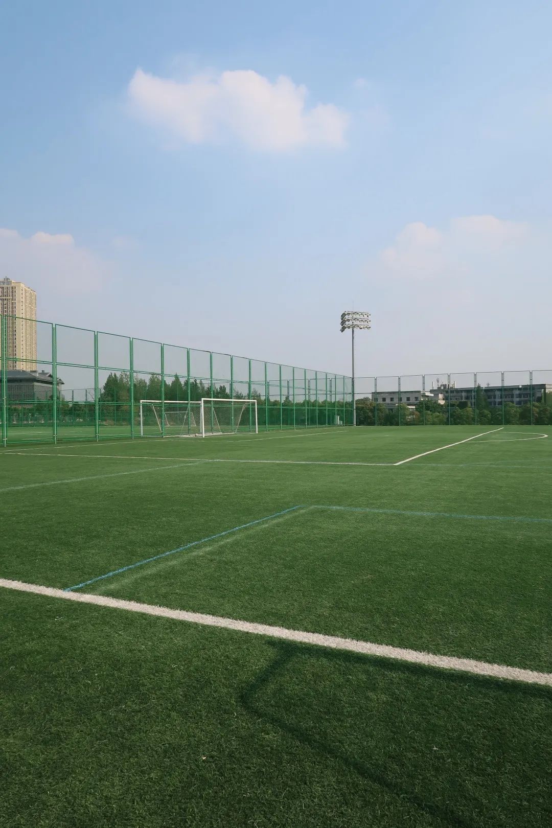 收藏乒乓球推荐,收藏价值高羽毛球拍