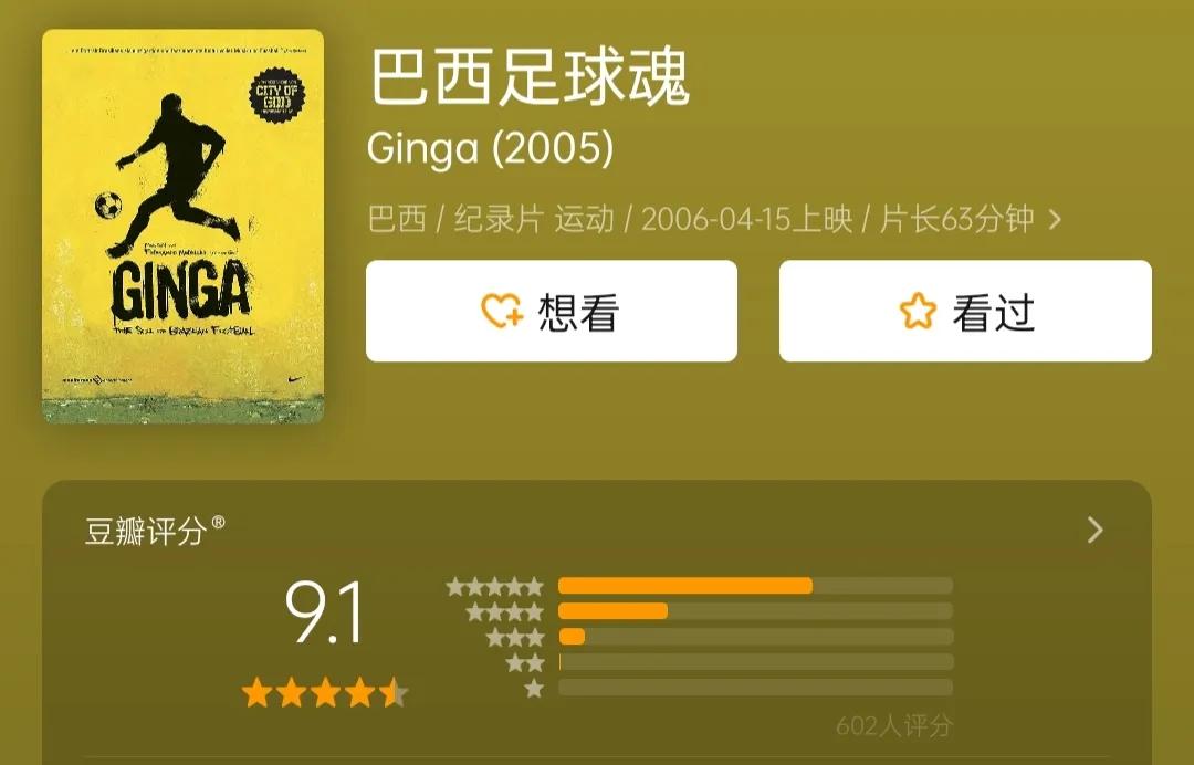 巴西淘汰内马尔痛哭,巴西淘汰内马尔痛哭电影解说