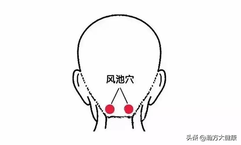 按穴位1分钟，能缓解失眠、鼻炎、咳嗽等十大常见症状？真的吗？