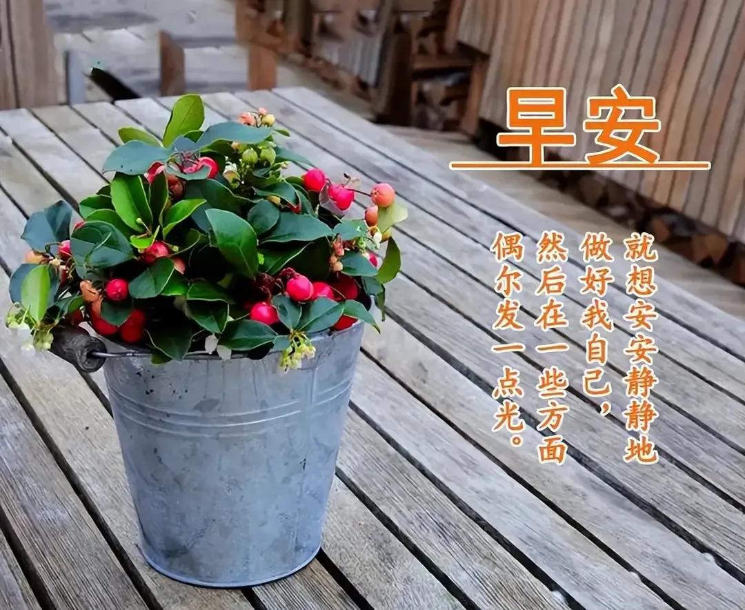 庚子日柱2023年癸卯年运势,癸卯年2023年哪个月出生最好