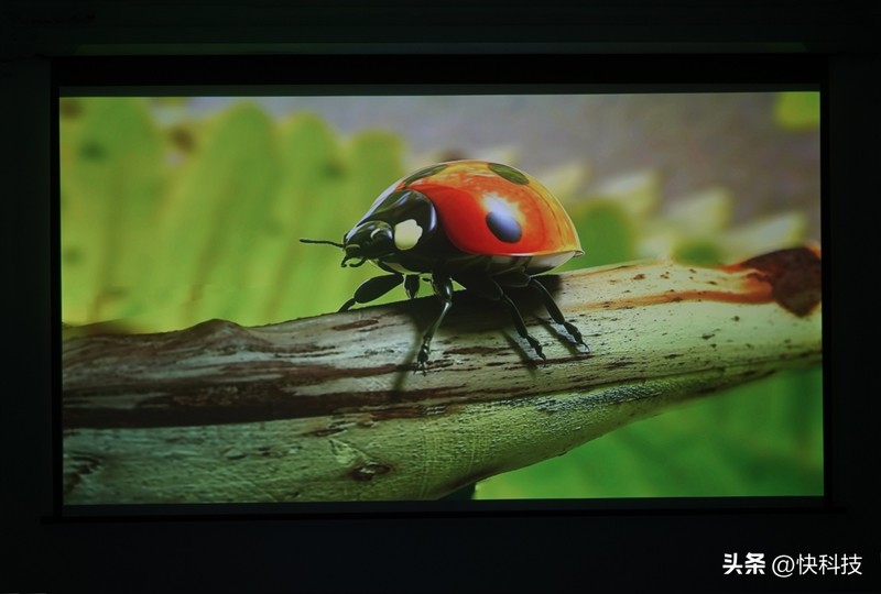 当贝newd3x投屏测评,3000元左右当贝投影仪推荐