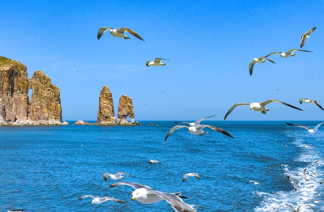 山东夏天去避暑最好的方法,夏日送清凉方案