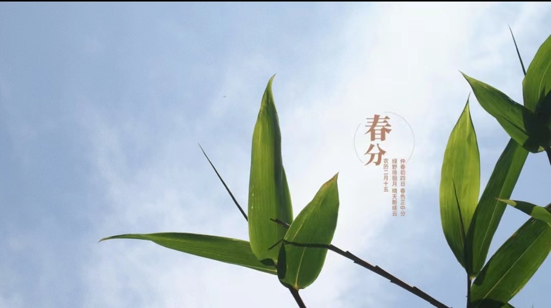 闰年闰月24节气怎么算出来的,二十四节气是什么人发明的