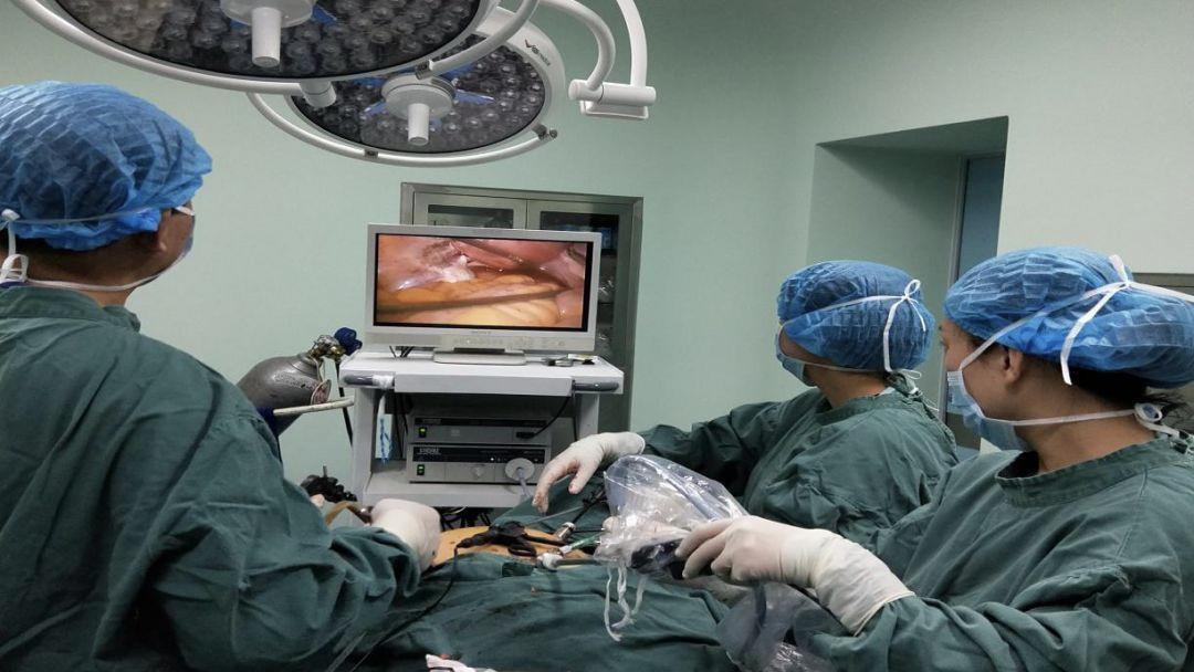 上了年龄子宫能修复吗,年纪大了子宫掉出来了