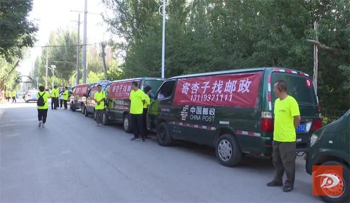 敦煌2023年李广杏产值,敦煌李广杏什么时候能成熟