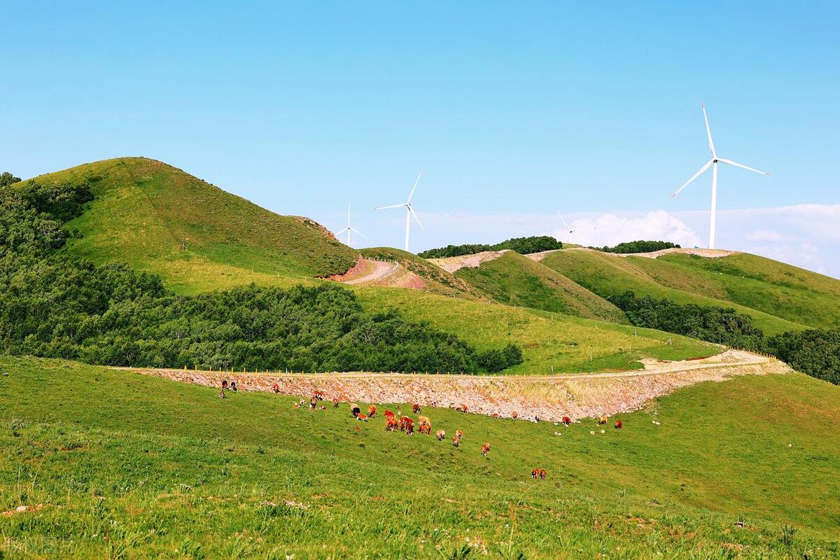 安吉旅游攻略必去景点排名,安吉旅游必去的景点一日游攻略