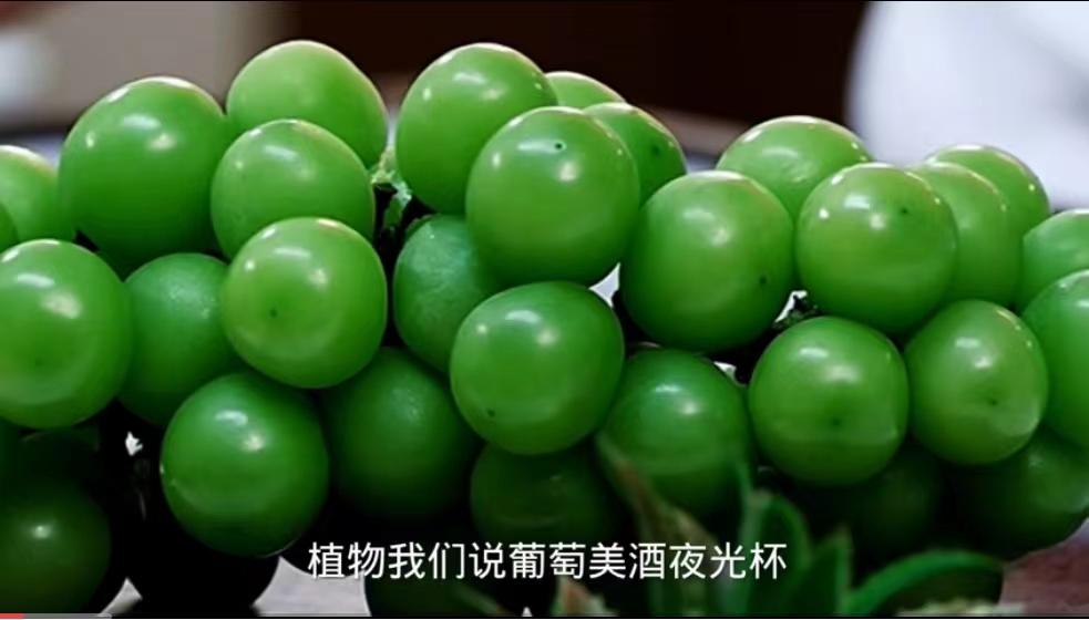 东方甄选直播间怎么火起来了,东方甄选直播间为什么那么火爆