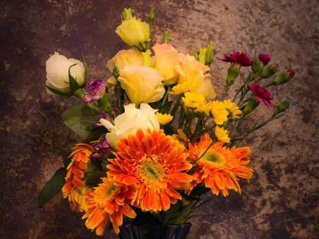 射手座不搭理你的四点原因,拥有较多人生选择的人,不会受限