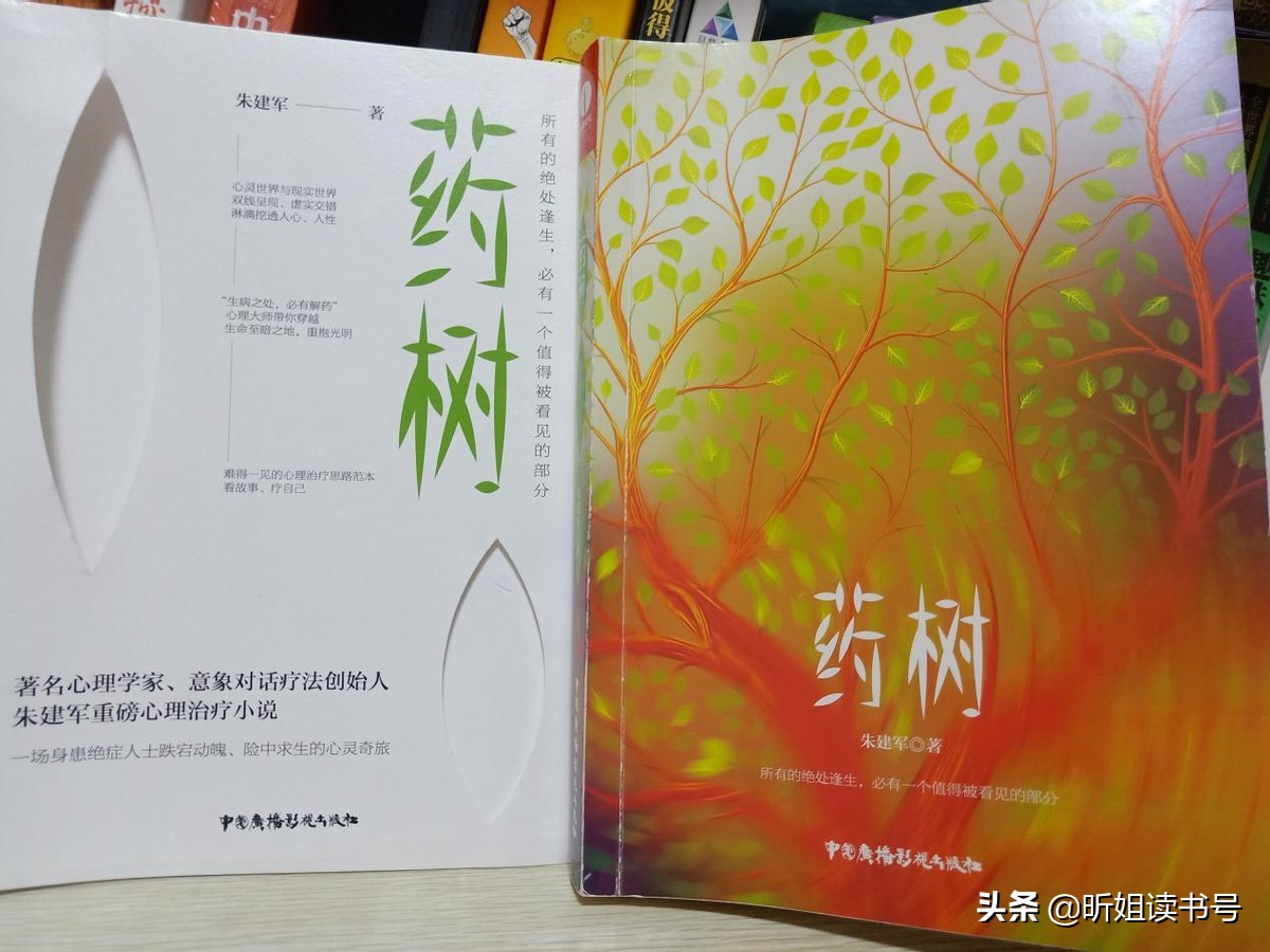 《药树》:一本生病之人的自救指南,当小说走进心理学