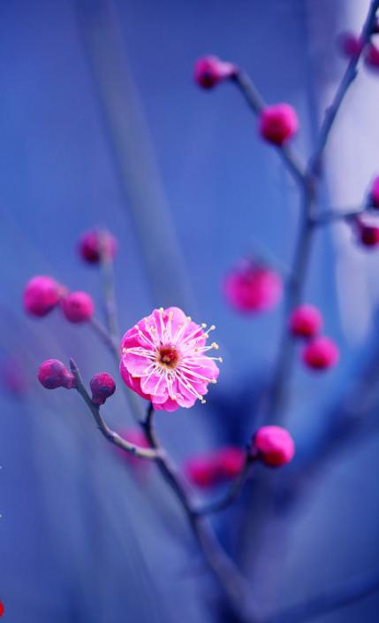 三人行|​一醉管他寒与暑醉里扁舟烟水处（原创诗词唱和15首）