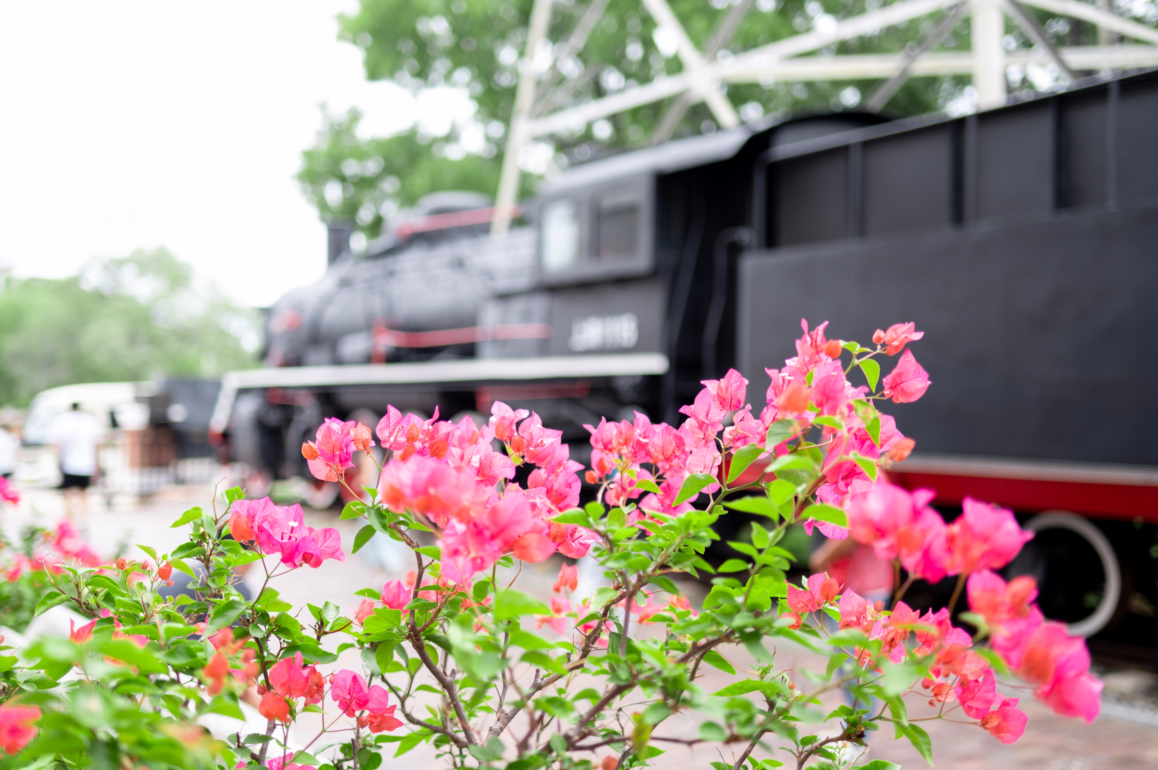 秦皇岛市海港区,秦皇岛港现状如何