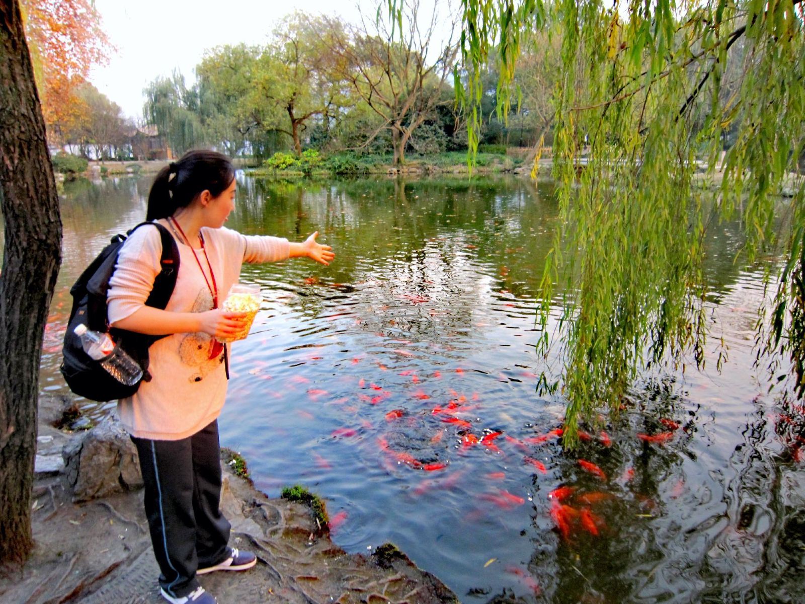 世界最美西湖图片,最美西湖十大风景