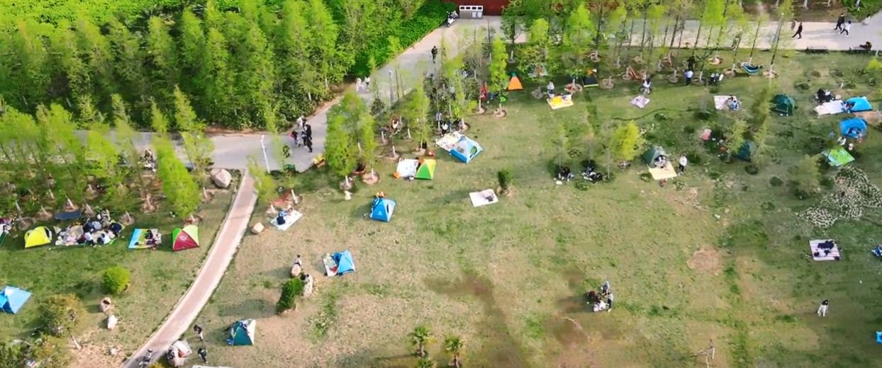 郑州周末遛娃踏青好去处,郑州春季带孩子游玩好去处推荐